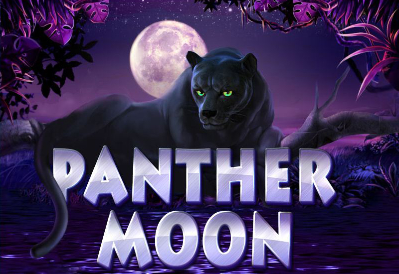 Panter Moon -  