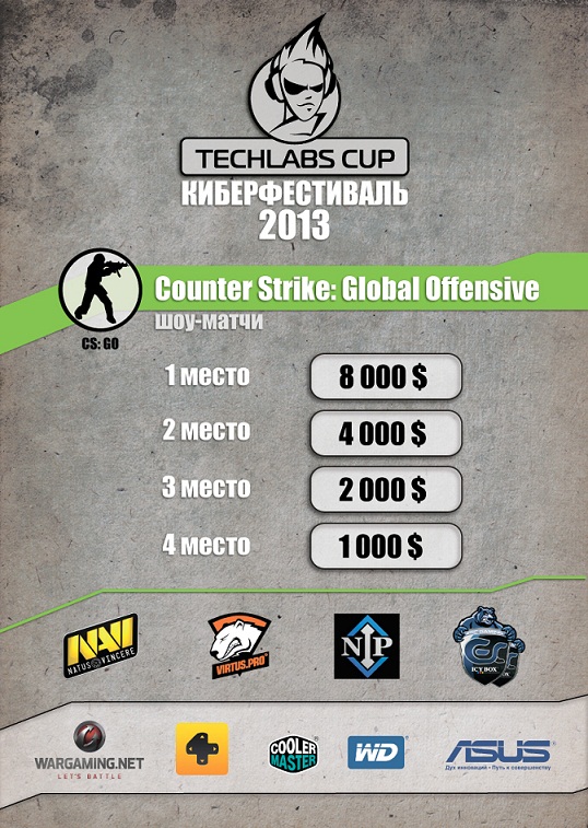  TECHLABS CUP RU 2013 CS:GO