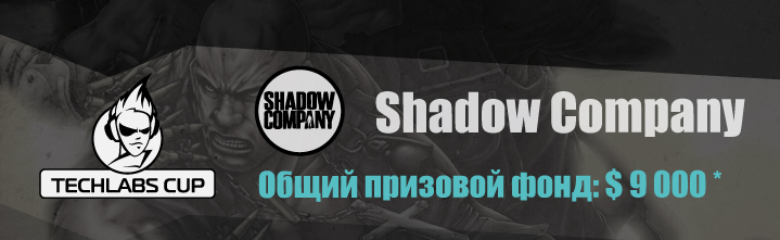 TECHLABS CUP UA 2013 Shadow Company