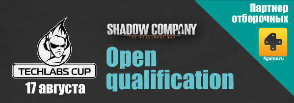 TECHLABS CUP UA 2013 Shadow Company Qualification